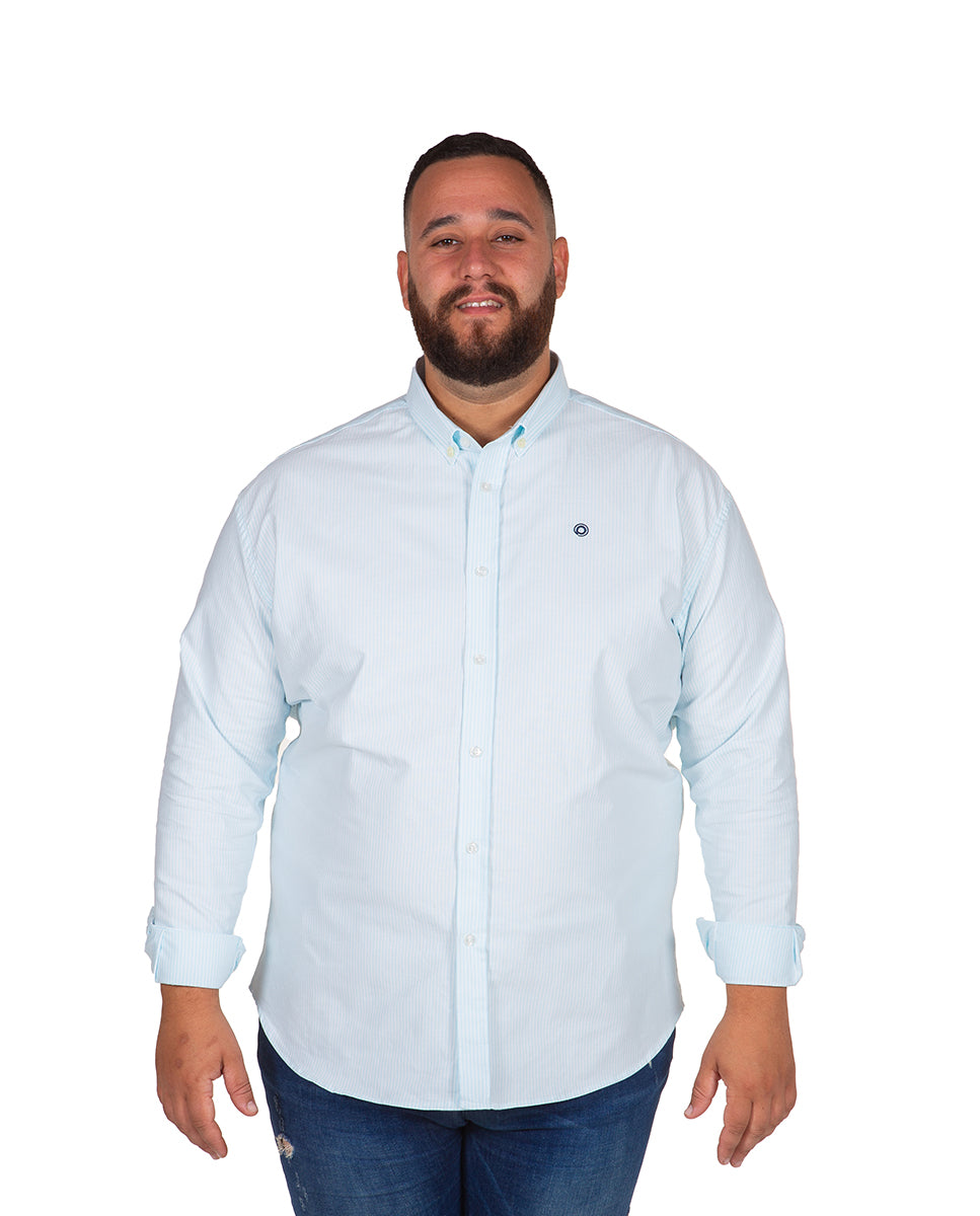 Plus Size Striped Oxford Shirt