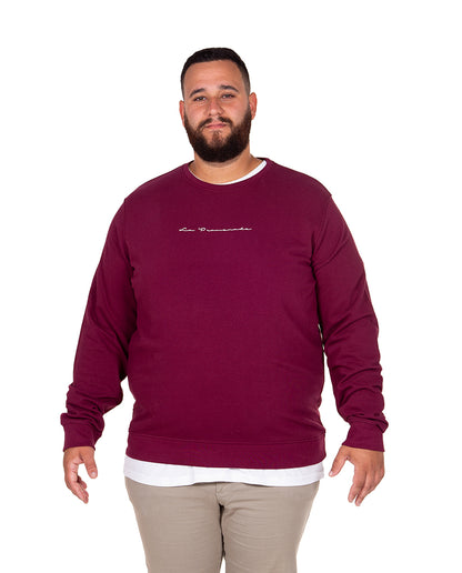 Signature Sweatshirt Plus Sizes