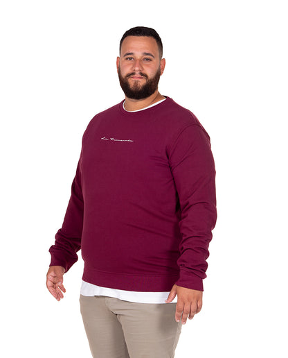 Signature Sweatshirt Plus Sizes