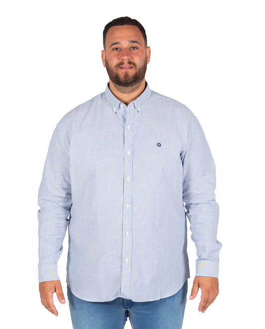 Blue Stripe Poplin Shirt