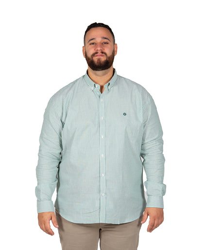 Green Stripe Oxford Shirt