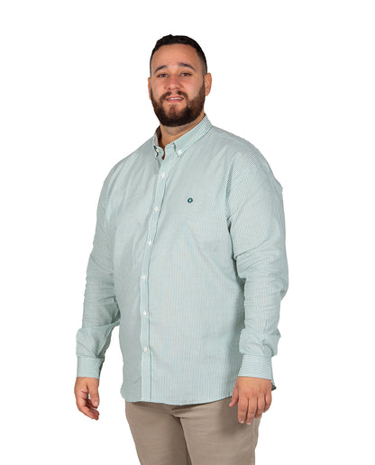 Green Stripe Oxford Shirt