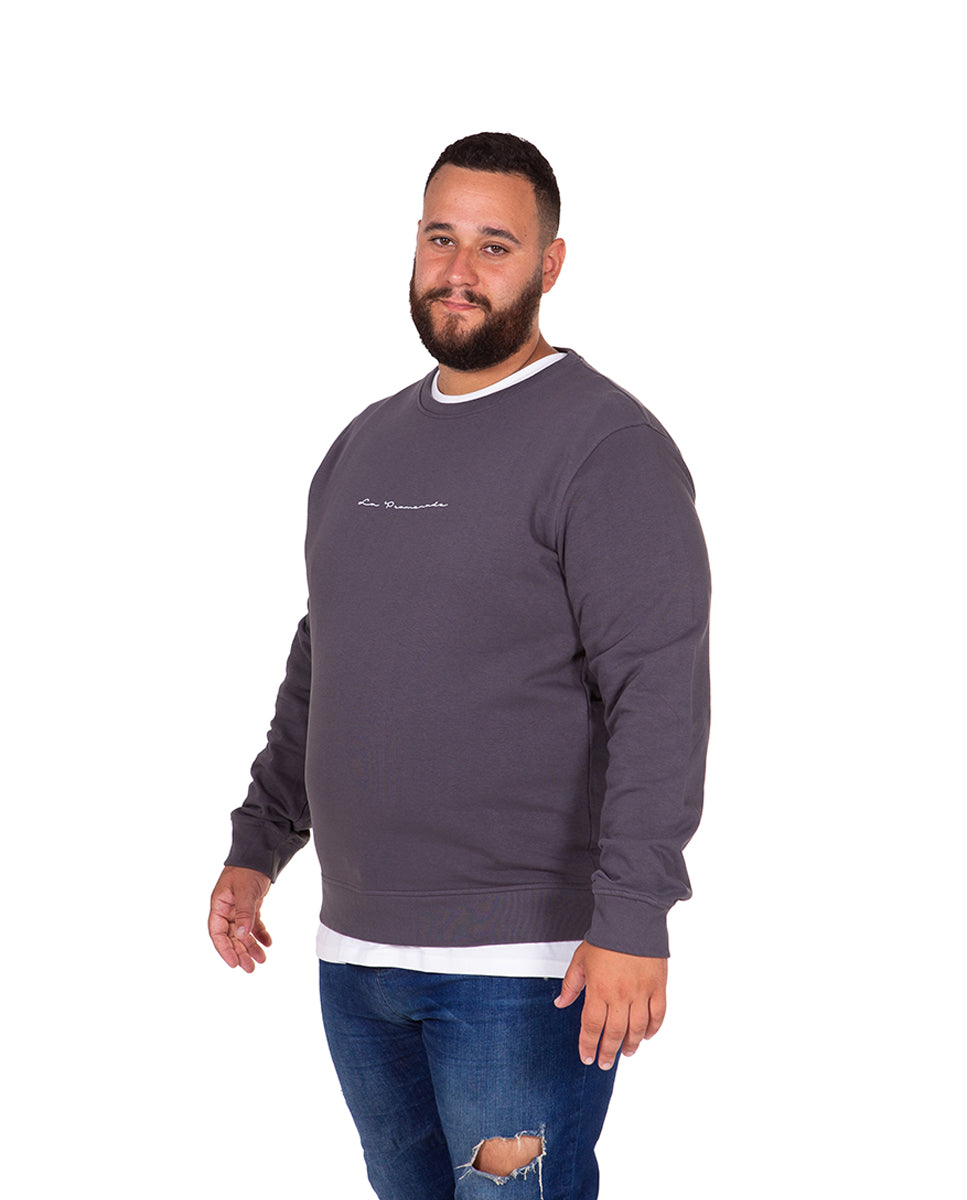 Signature Sweatshirt Plus Sizes